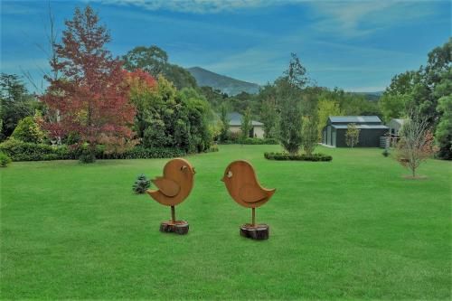 Outdoor Pictures 2