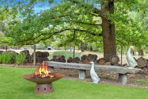 Outdoor Pictures 22