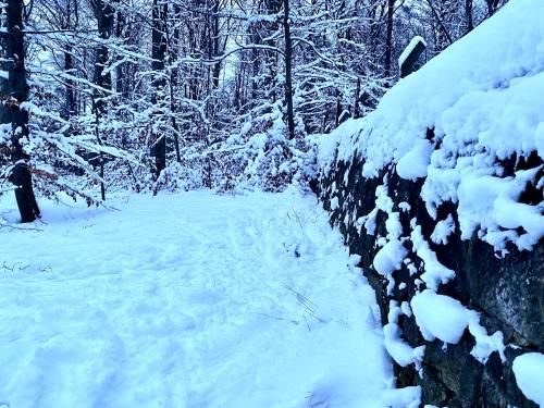 Outdoor Pictures 19
