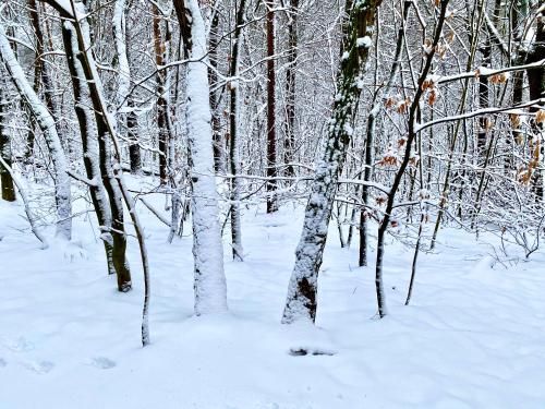 Outdoor Pictures 20