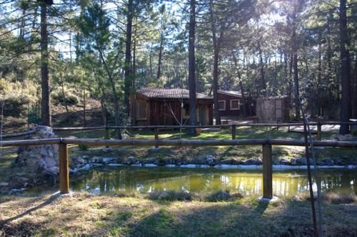 Outdoor Pictures 1
