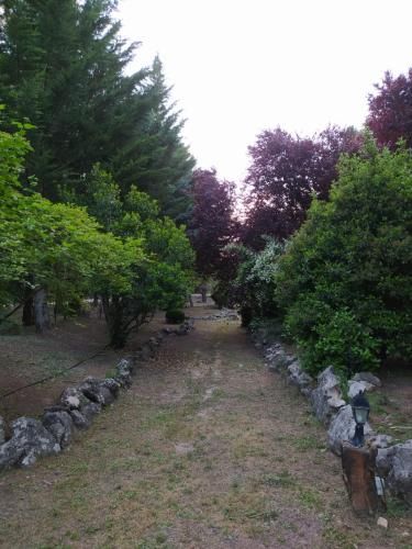 Outdoor Pictures 9