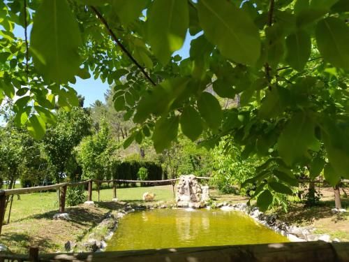 Outdoor Pictures 11