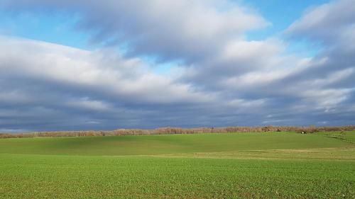 Outdoor Pictures 15