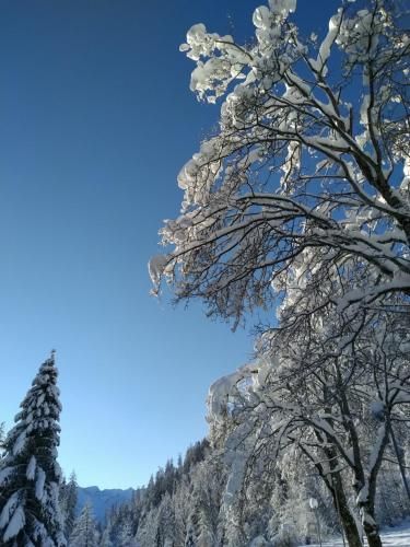Outdoor Pictures 6