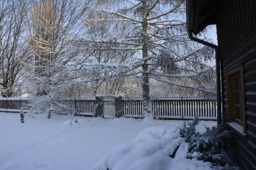 Outdoor Pictures 9