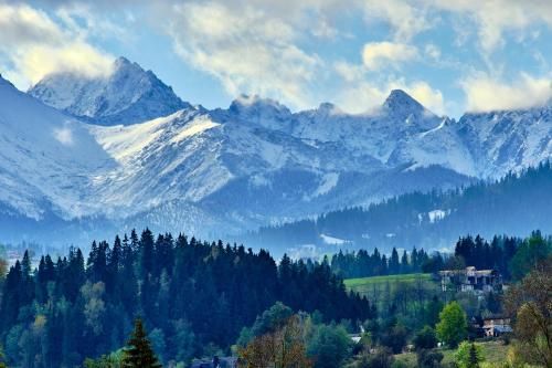 Outdoor Pictures 23