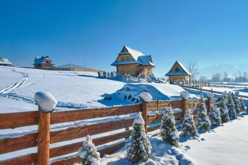 Outdoor Pictures 7