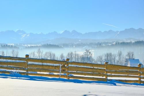 Outdoor Pictures 15