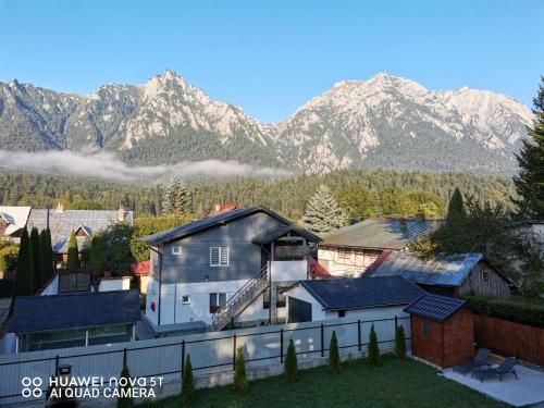 Outdoor Pictures 9