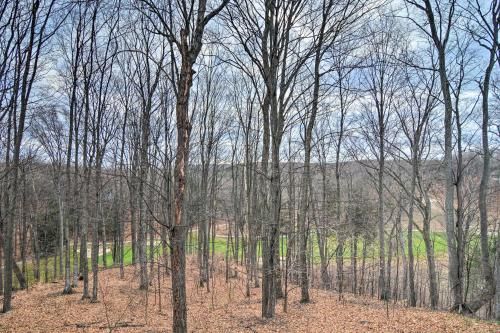 Outdoor Pictures 21