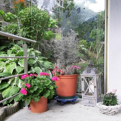 Outdoor Pictures 21