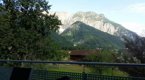 Outdoor Pictures 3