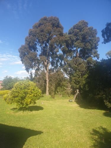 Outdoor Pictures 1