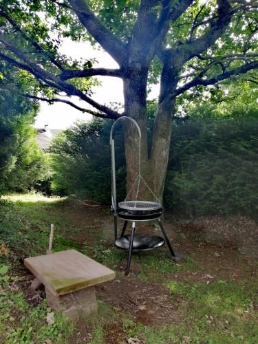 Outdoor Pictures 19