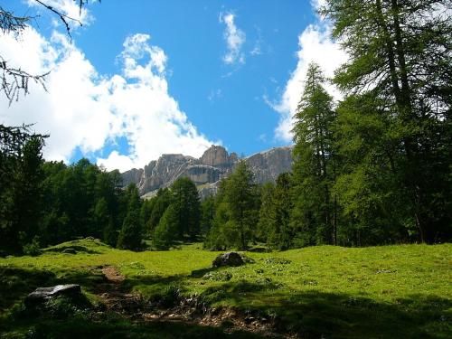 Outdoor Pictures 7