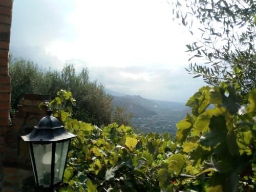 Outdoor Pictures 5