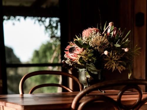 Outdoor Pictures 24