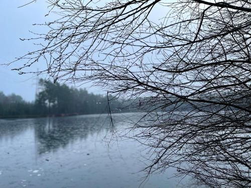 Outdoor Pictures 19