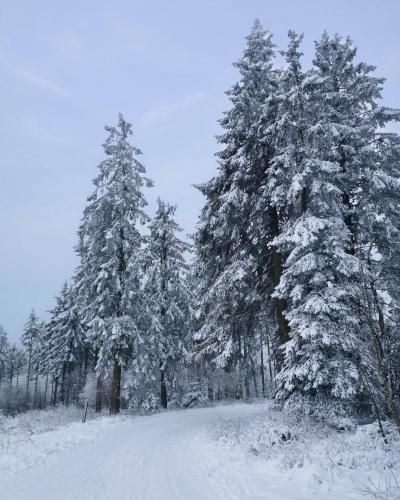 Top Ferienwohnung am Diemelsee, Sauerland Nähe Willingen Winterberg
