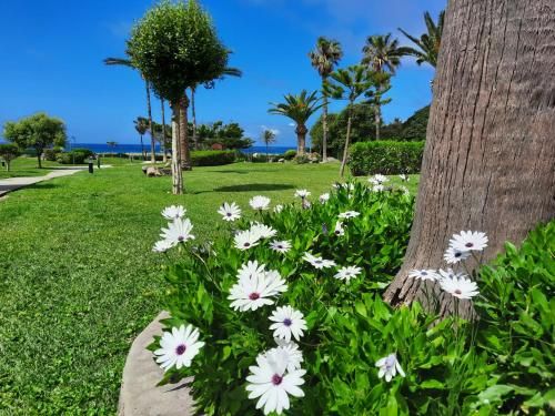 Outdoor Pictures 16