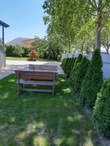 Outdoor Pictures 20