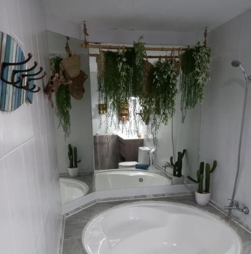Casa Salá, alojamiento con encanto en Vera Natura