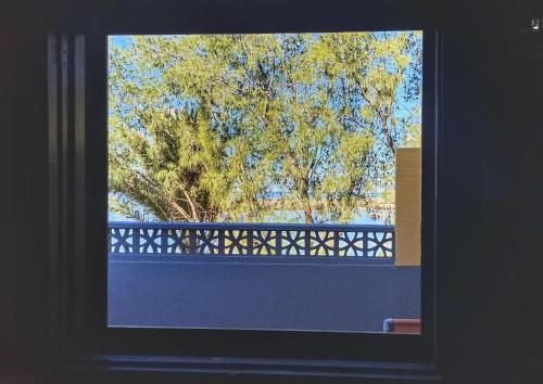 Outdoor Pictures 21