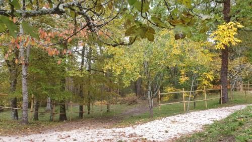 Outdoor Pictures 11