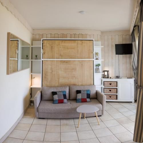 Situation exceptionnelle pour ce cosy studio avec terrasse SUR LAC, dans résidence avec PLAGE et ponton PRIVEE