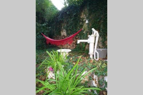 Outdoor Pictures 24