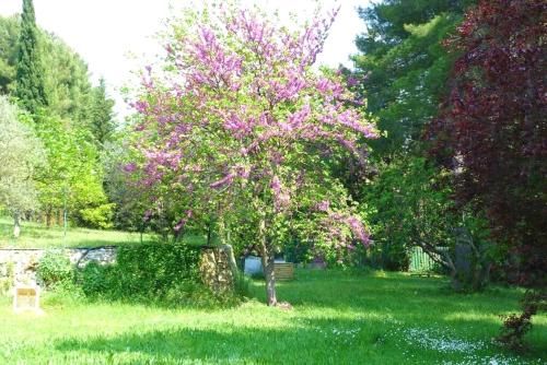 Outdoor Pictures 24