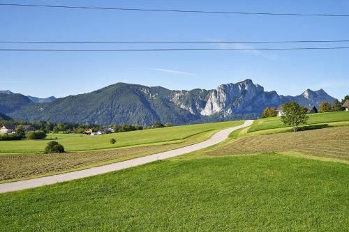 Outdoor Pictures 6