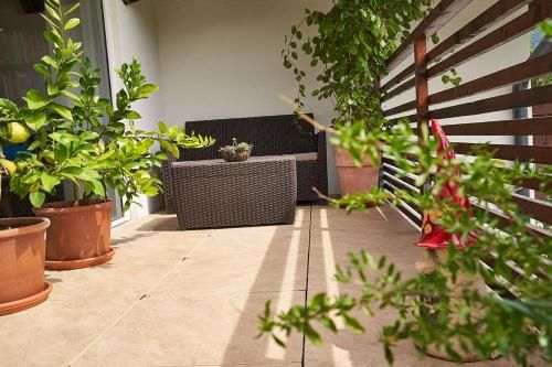 Outdoor Pictures 22