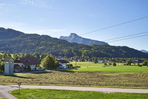 Outdoor Pictures 23