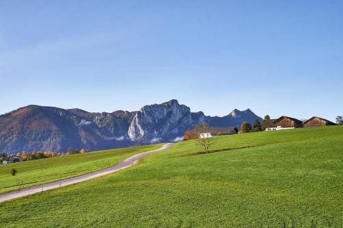 Outdoor Pictures 24
