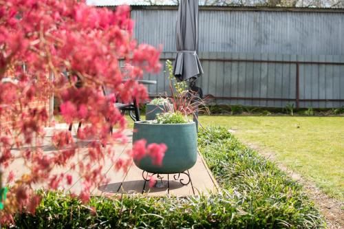 Outdoor Pictures 11