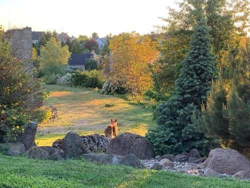 Outdoor Pictures 18