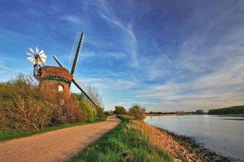 Outdoor Pictures 23