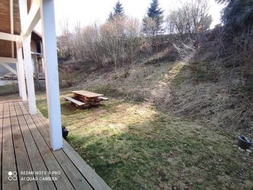 Outdoor Pictures 8