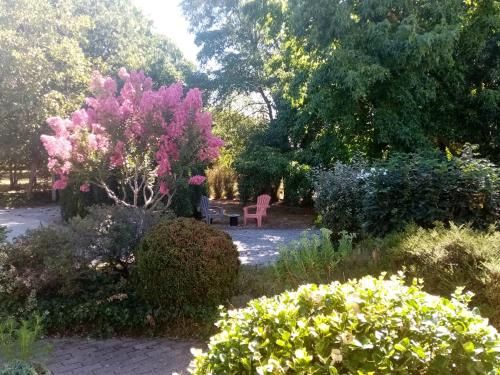 l'Eden naturiste écureuil