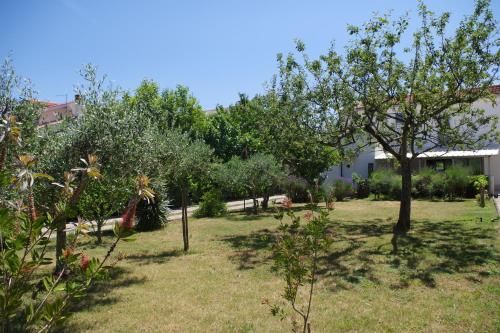 Outdoor Pictures 10
