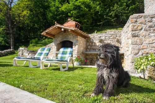 Outdoor Pictures 7