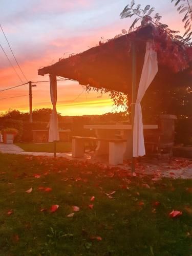 Outdoor Pictures 21
