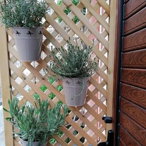 Outdoor Pictures 6