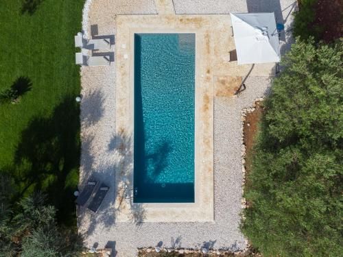 Outdoor Pictures 7