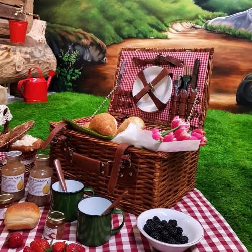 URBAN PIC NIC