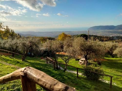 Outdoor Pictures 15