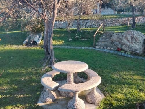 Outdoor Pictures 24