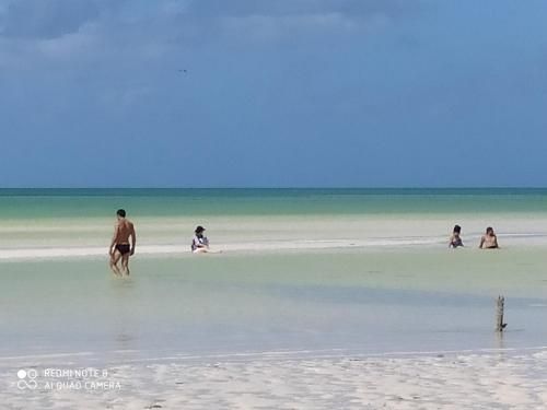 Outdoor Pictures 11